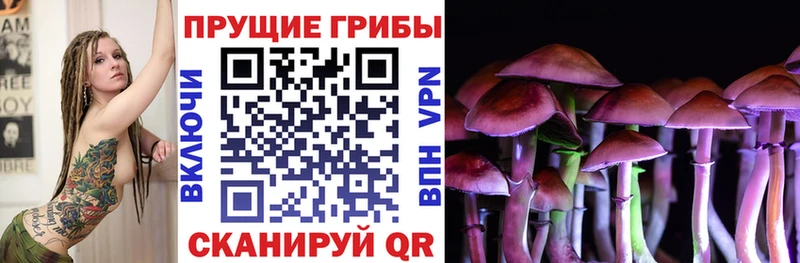 Купить  Ладушкин  Галлюциногенные грибы Psilocybine cubensis 