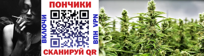 МАРИХУАНА сатива  Купить  Ладушкин 